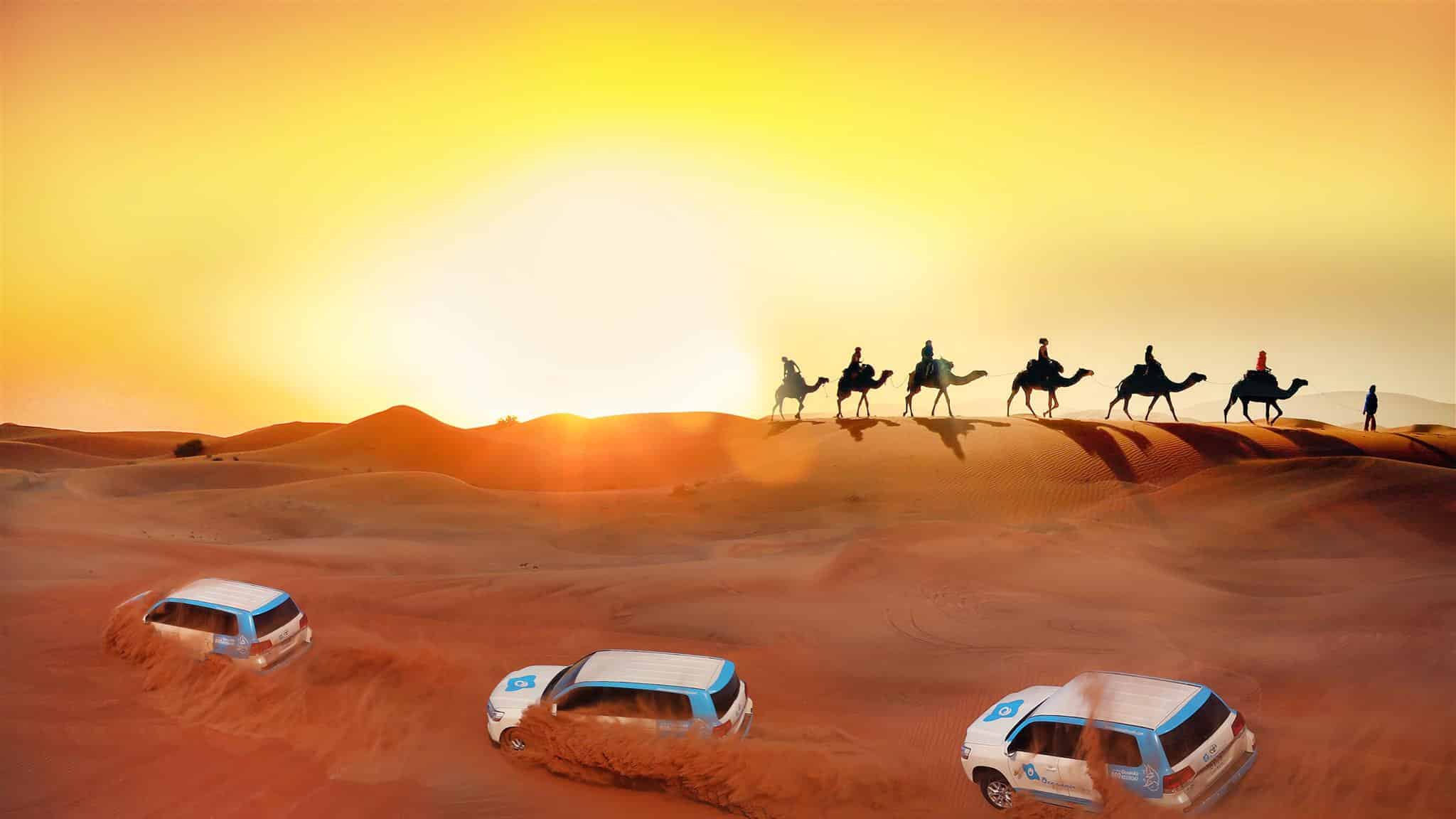 Evening Desert Safari 1